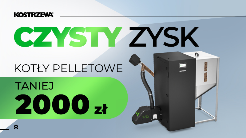 Czysty Zysk